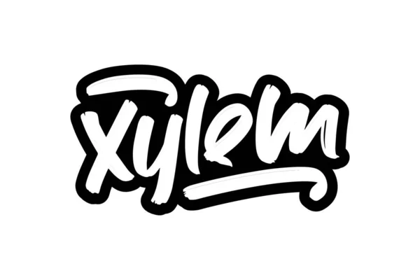 Xylem ręcznie rysowane nowoczesne pisma pędzla dla biznesu, druku i reklamy — Wektor stockowy