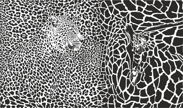 Vektor Schwarz Weiß Illustration Von Leopard Und Giraffe — Stockvektor