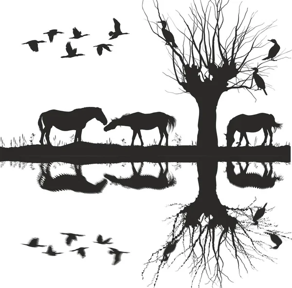 湖と鵜の木や空気 ベクトル図で馬が放牧します — ストックベクタ