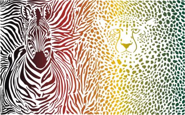 vektör illüstrasyon çita ve zebra renk desenleri