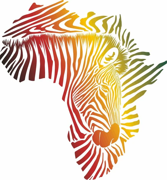 Vector Illustration Color Abstract Africa Zebra Skin Head — Stock Vector