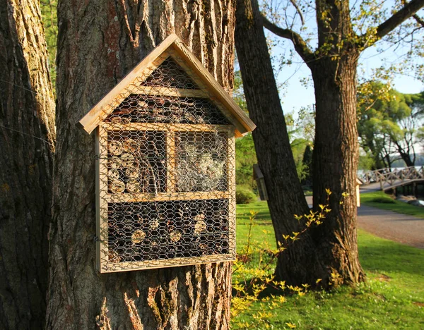 Insektenhotels Schönen Gartenbäumen — Stockfoto