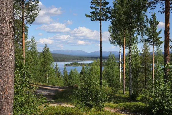 Prachtige Finse Lapland Zomer Meer Landschap Hiking Trail Met Stad — Stockfoto