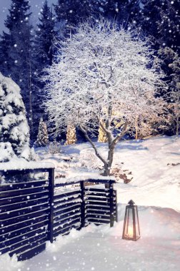 Kış ev bahçe akşam kar yağışı