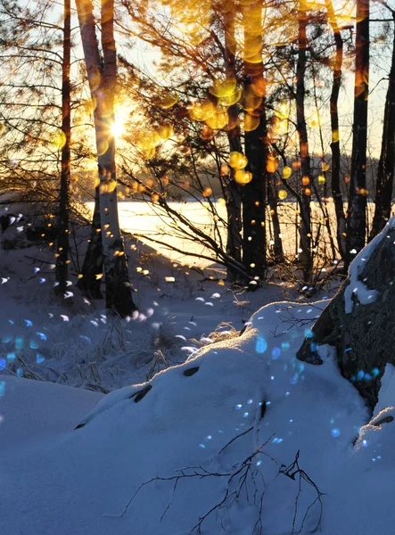 Atardecer Invierno Nevada Brillo Orilla Del Lago Congelado — Foto de Stock