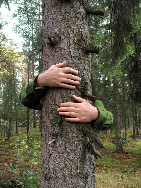 Χέρια Τυλιγμένα Γύρω Από Ένα Δέντρο Έλατο Αγκαλιάζει Περιβαλλοντική Έννοια — Φωτογραφία Αρχείου