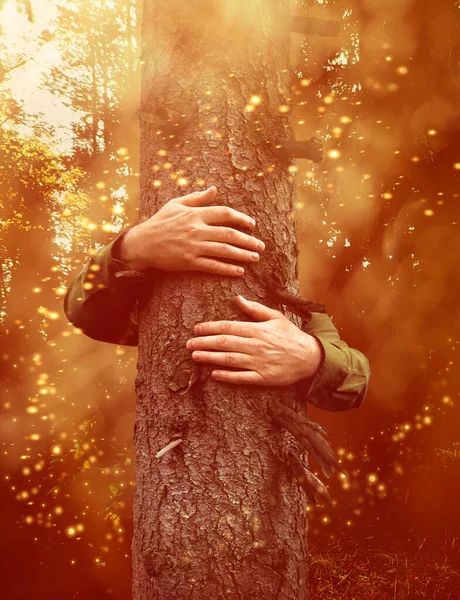 Hände Einen Alten Baumstamm Umarmung Zauberwald Umweltkonzept — Stockfoto