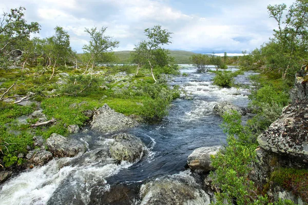 Lake Tsahkal Running Streamlet Northern Lapland Finnish Wilderness — Stock Photo, Image