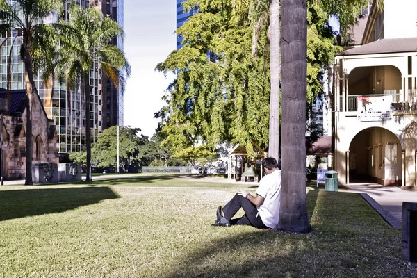 El hombre se inclina a un árbol en el jardín de la ciudad de césped — Foto de Stock