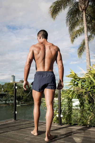 Back side of strong body builder — Stock Photo, Image