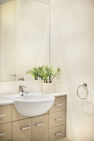 Bathroom interior decoration with fancy green plants on the vase