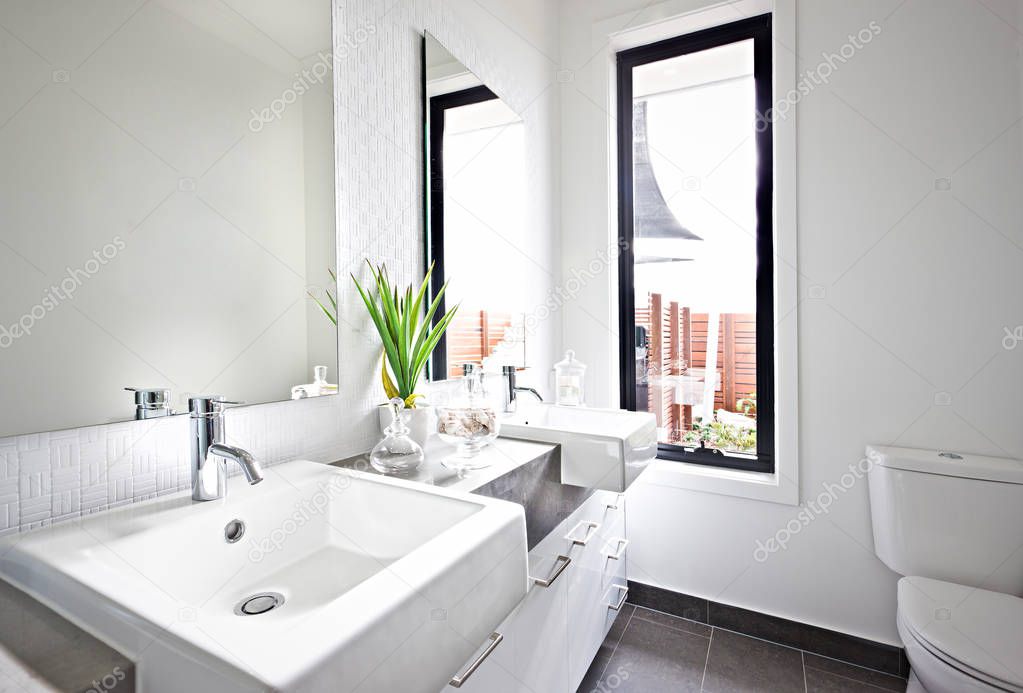 White washroom sink and mirror near a green plant 