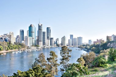 Brisbane güneşli gün nehir ağaçlar etrafında bina şehir 