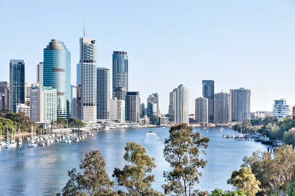 Brisbane City edifício com rio em torno de árvores no dia ensolarado — Fotografia de Stock