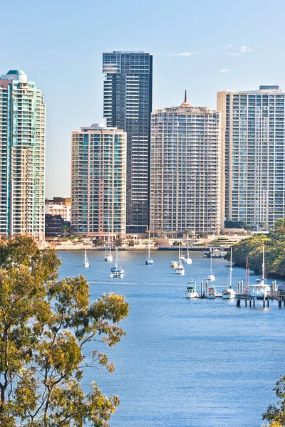 Cidade de Brisbane com árvores e rio além de enormes edifícios — Fotografia de Stock