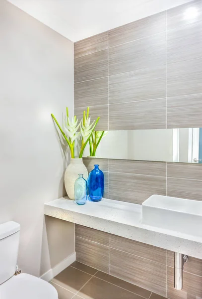 Une décoration d'une salle de bain à base de plantes vertes aux fleurs blanches — Photo
