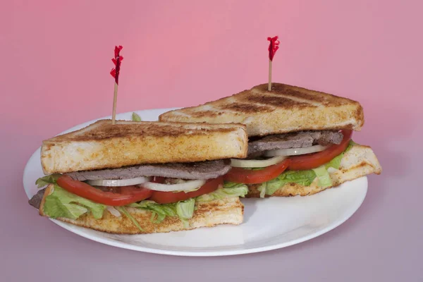 Diseño colorido de hamburguesa con queso — Foto de Stock
