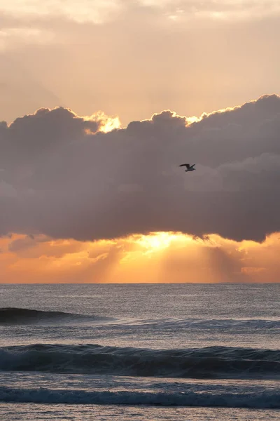 オーストラリア クイーンズランド州のBurleigh Headsの海の地平線の上の日の出 — ストック写真