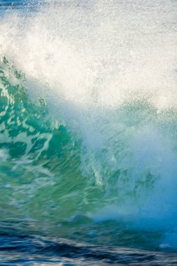 Currumbin, Gold Coast, Avustralya 'da güzel okyanus dalgaları