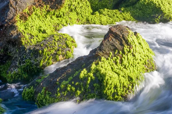 Fast Flowing Mountain River Bright Sunny Day Currumbin Gold Coast — Stock Photo, Image