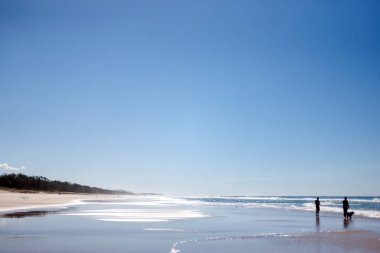 Hayvanlı bir aile kumsalda bir hafta sonu geçiriyor. İnsanlar covid-19 'dan sonra neredeyse boş olan plajda tatilin tadını çıkarıyorlar.