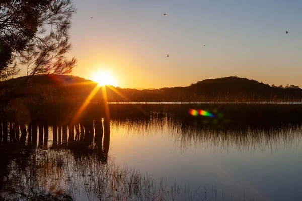 Восход Солнца Над Спокойным Озером Осенний Сезон Лесном Озере Лицензионные Стоковые Изображения