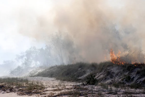 Australia bushfires. Dramatic image from massive fires in Australia