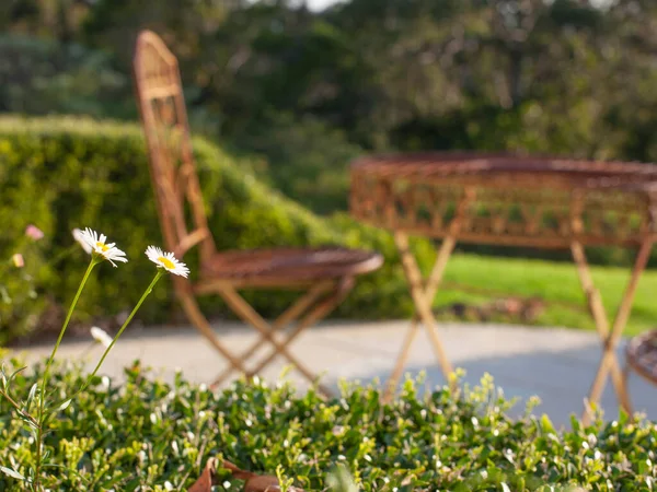 Cadeira Mesa Madeira Jardim Quintal Tropical Espaço Lounge Livre Para Fotos De Bancos De Imagens
