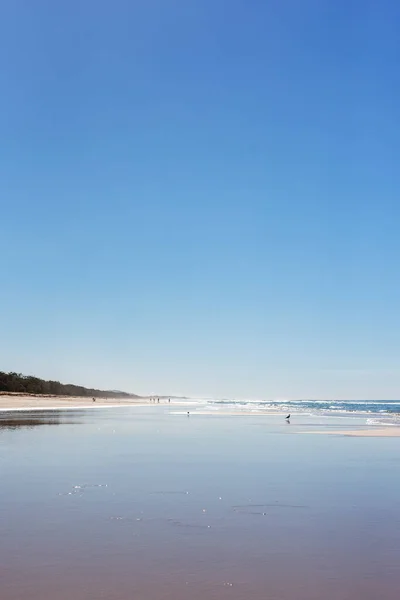 Γραφική Θέα Της Αυστραλίας Παραλία Κατά Του Καταγάλανου Ουρανού Byron — Φωτογραφία Αρχείου