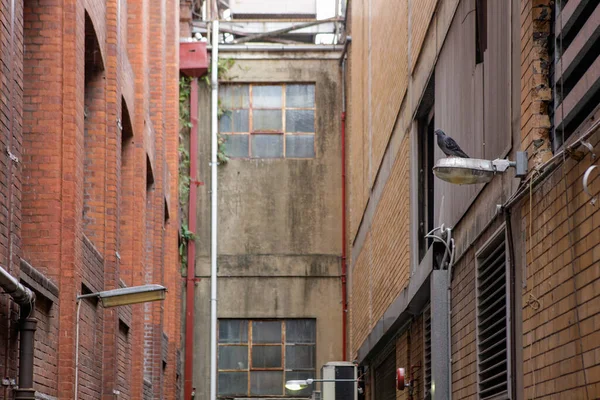 Nachtzicht op de binnenplaats in Brisbane, Australië — Stockfoto