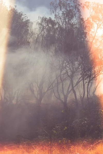 Australia bushfires in summer fire season