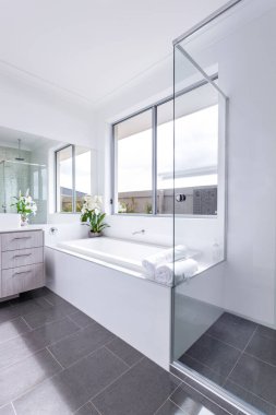 Lüks modern banyo iç tasarım manzarası