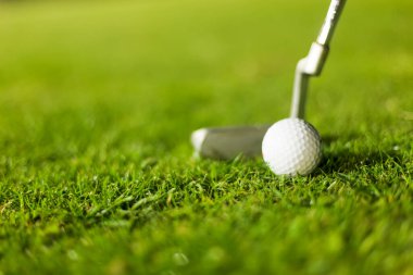 Yeşil çimlerin üzerinde golf topu vurmaya hazır.