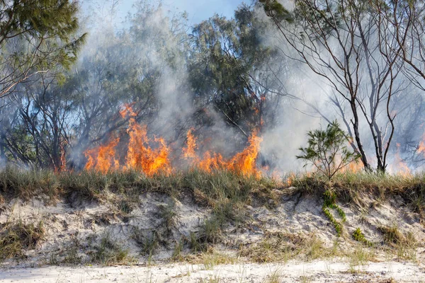 Australia bushfires in summer fire season