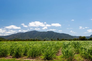 Dağların altında bir çiftlik.