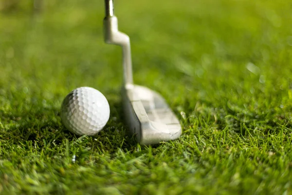 Golfbal op groen gras klaar om geslagen te worden — Stockfoto