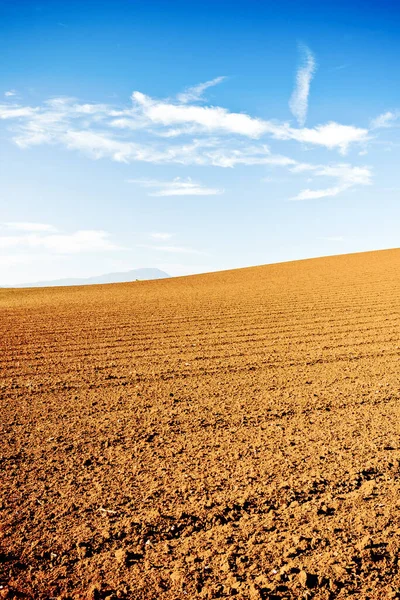 Agricultural land with unique red ground — Stock Photo, Image