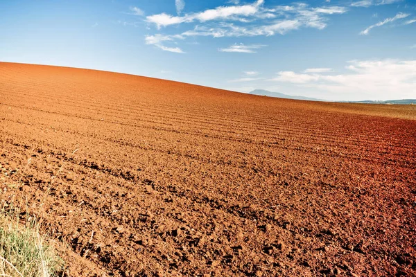 Agricultural land with unique red ground — Stock Photo, Image