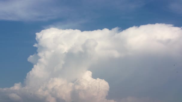 Cielo azul con nubes blancas — Vídeo de stock