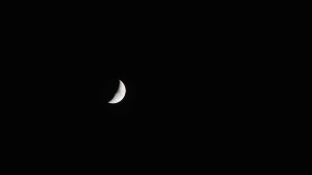 New Moon in the Pitchblack Sky — Stock Video