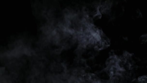 Realistische trockene Rauchwolken — Stockvideo