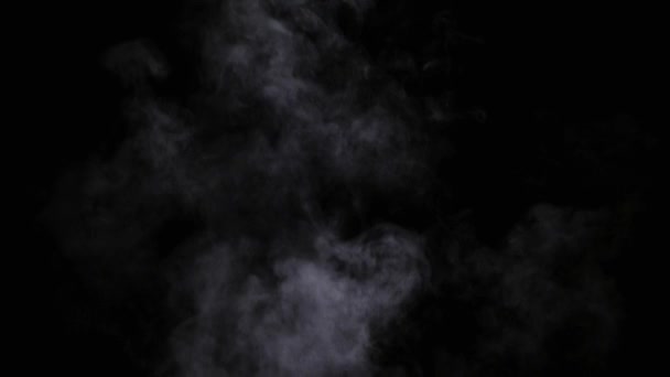 Realistische trockene Rauchwolken — Stockvideo