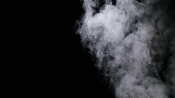 Реалістичні хмари сухого диму туман — стокове відео