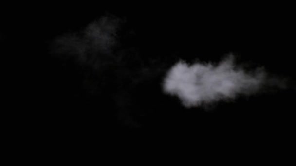 Realistische droge rookwolken mist — Stockvideo