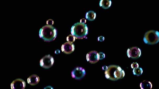 Мильні бульбашки на чорному тлі — стокове відео