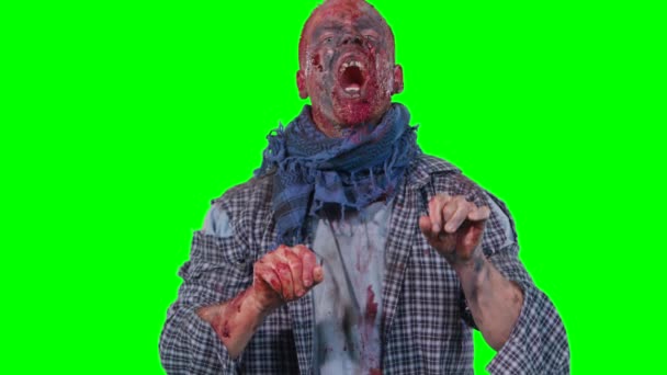 Scary zombie in halloween isolated green background — Stock Video