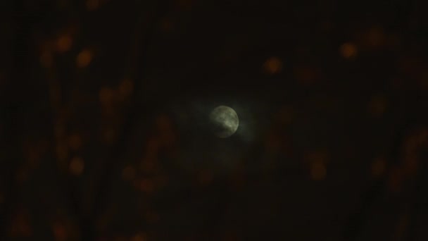 Полная луна на ночном небе — стоковое видео