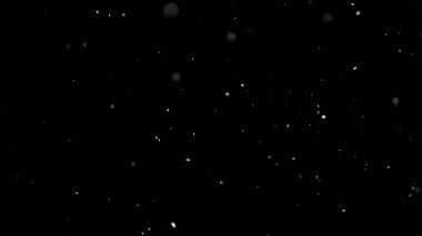 İzole edilmiş Siyah Arkaplana Beyaz Kar Düşüyor