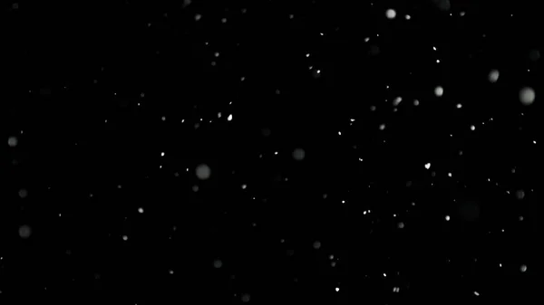 Neve branca caindo em fundo preto isolado — Fotografia de Stock