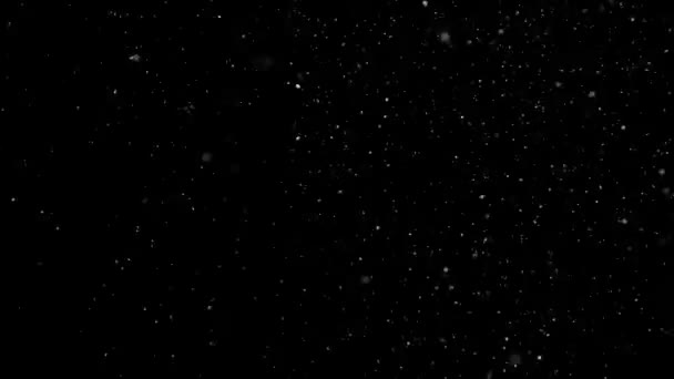 孤立した黒い背景に白い雪が降っている 空を飛ぶ雪の結晶のショットBoeh ダスト粒子または空気中の粉末 休日オーバーレイ効果 — ストック動画